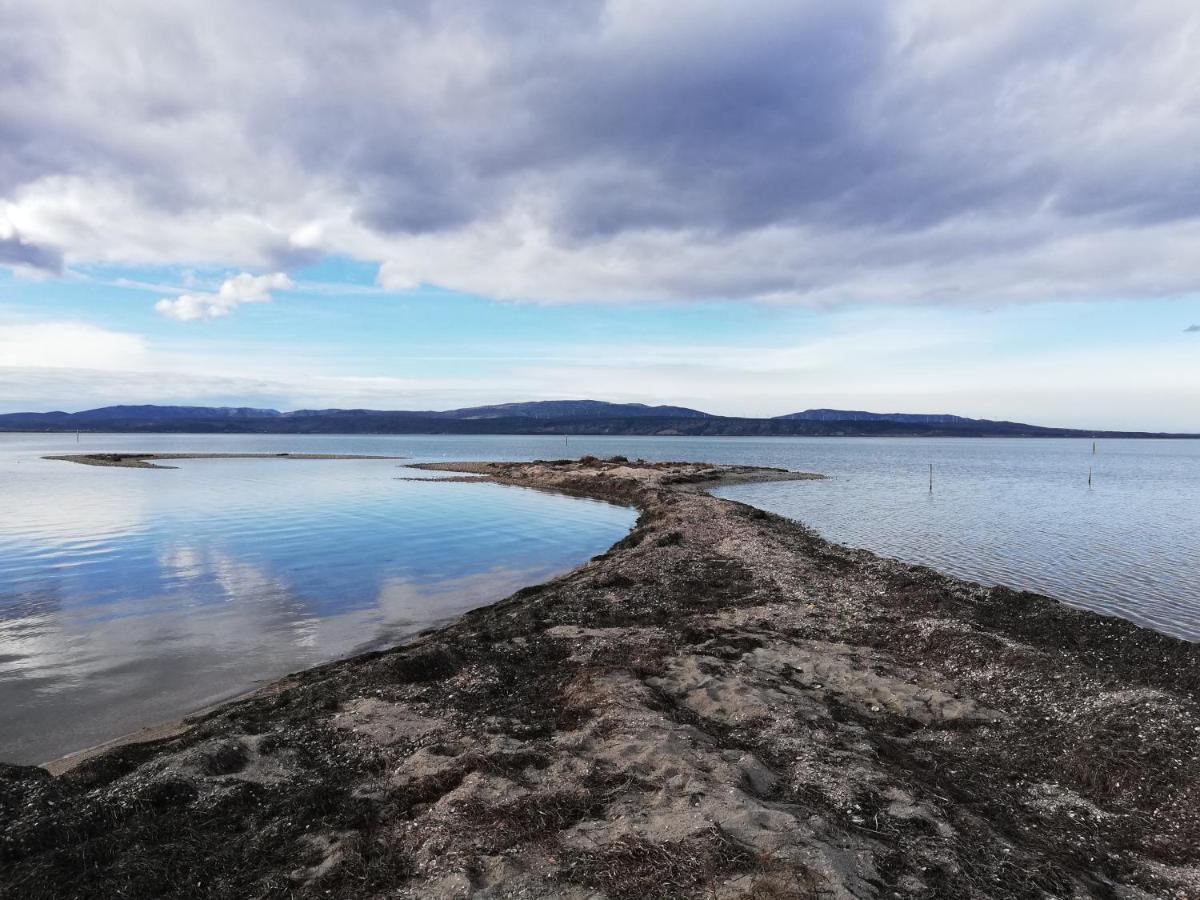 Appartement Cosy Sur La Presqu'Ile De Cap Coudalere Avec Piscine Ouverte Et Chauffee Le Barcarès Eksteriør billede
